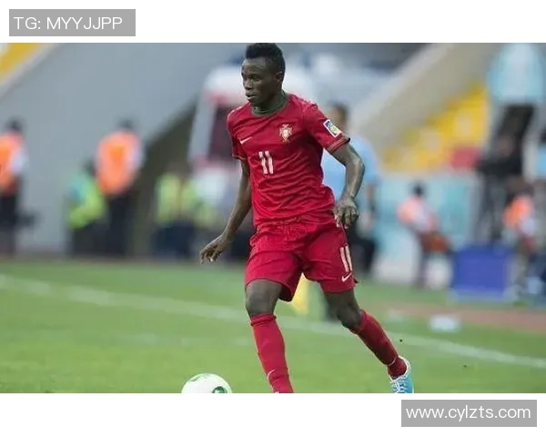 哈马比与布鲁马波卡纳比赛结果分析及精彩瞬间回顾