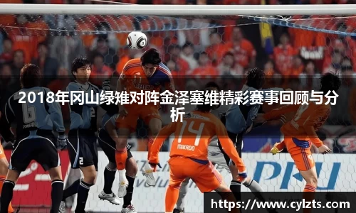 2018年冈山绿雉对阵金泽塞维精彩赛事回顾与分析
